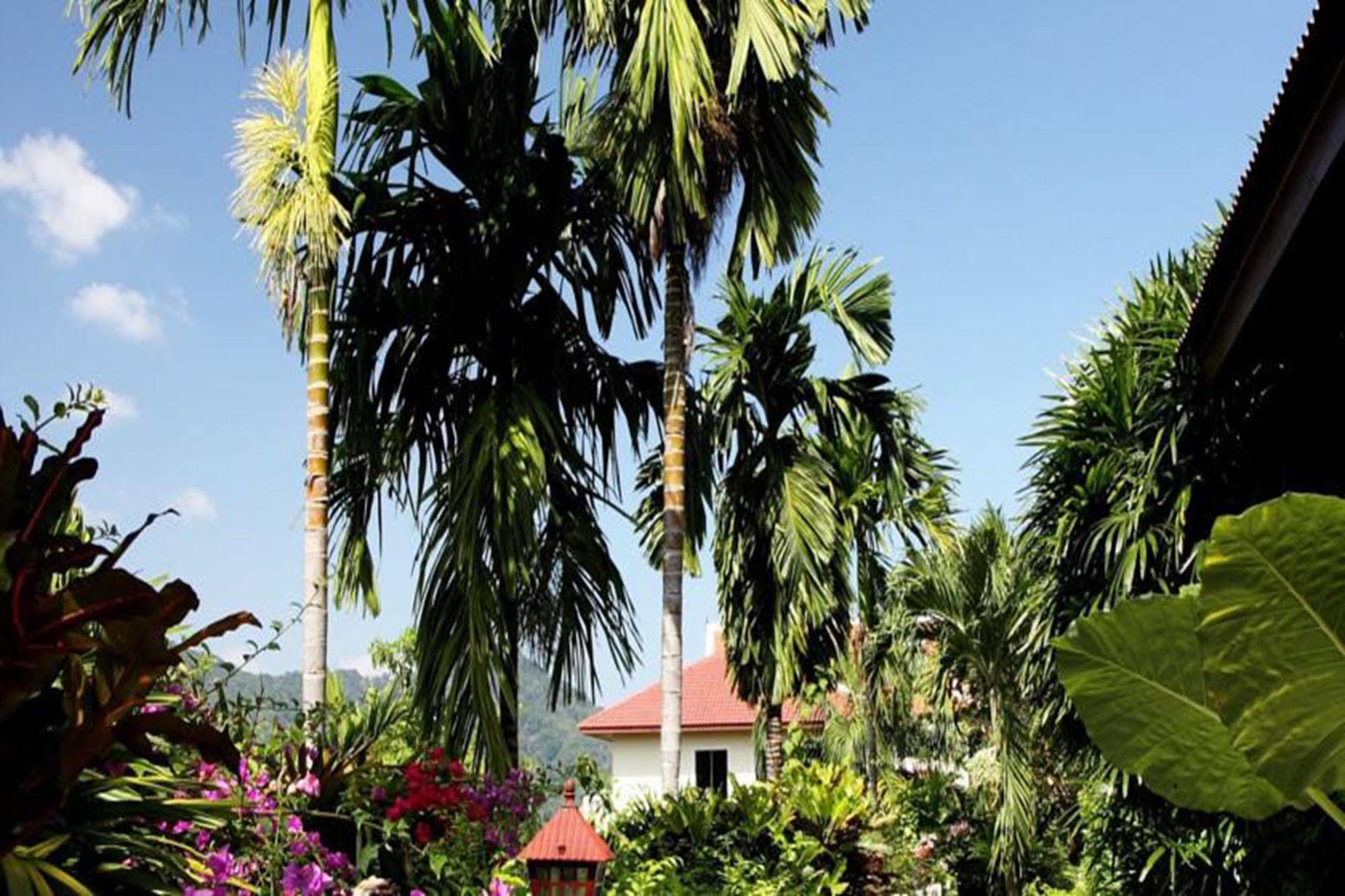 Patong Cottage Resort Exteriér fotografie